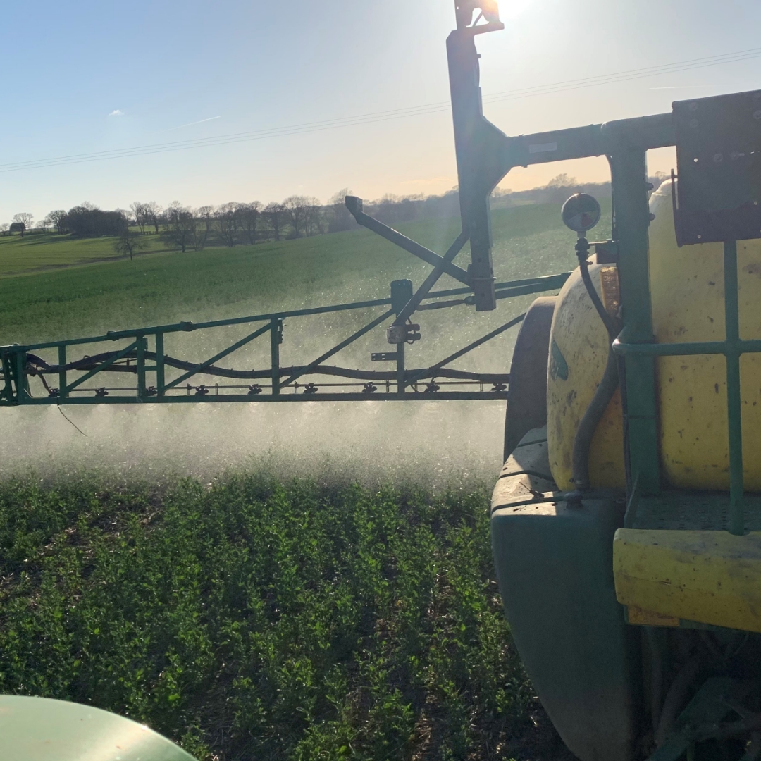 Spring crop spraying picture