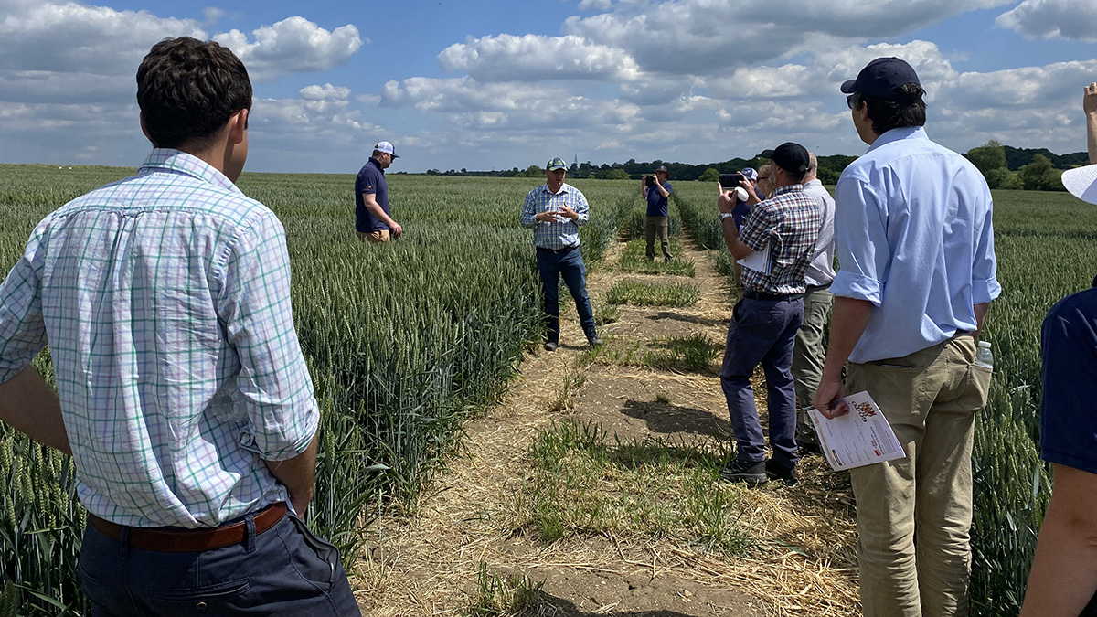 Elsoms & Saaten Union UK arable trials